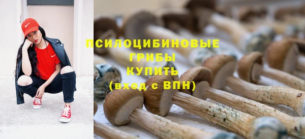 мескалин Надым