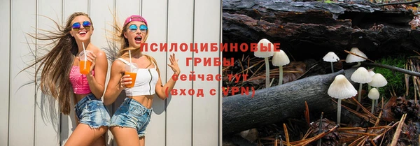 мескалин Надым
