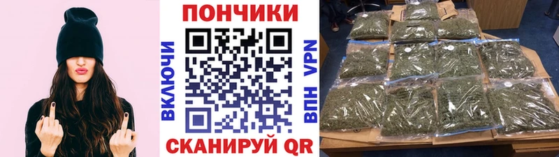 kraken зеркало  купить  сайты  Нюрба  Шишки марихуана конопля 